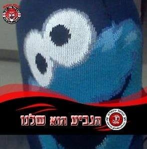 רועי דוד